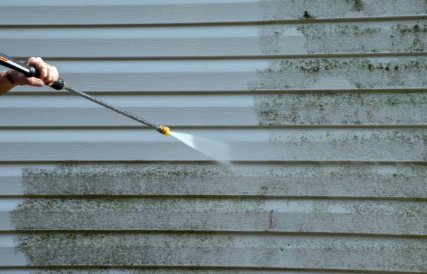 Best Roof Pressure Washing  in Calhoun Falls, SC