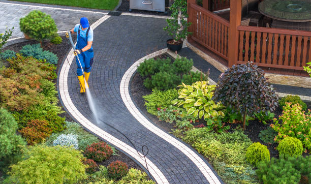 Best Power Washing Near Me  in Calhoun Falls, SC