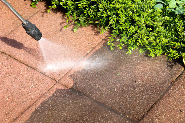 Best Roof Pressure Washing  in Calhoun Falls, SC